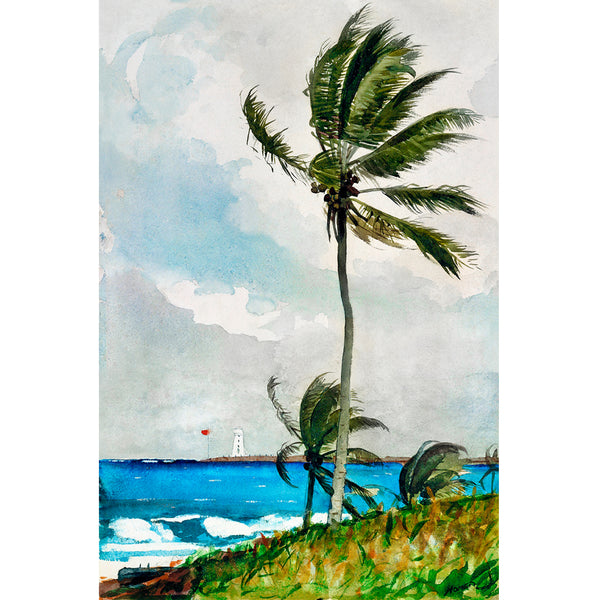 Palm Tree, Nassau (1898) by Winslow Homer Wall Art, Front